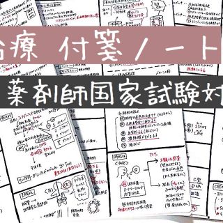 薬剤師国家試験対策【治療】付箋ノート ゴロも少し(語学/参考書)