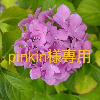 pinkin様専用(その他)