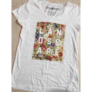 レディース  Tシャツ　ホワイト　Mサイズ(Tシャツ(半袖/袖なし))