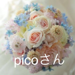 パーツセット　picoさん(各種パーツ)