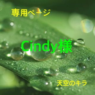 Cindy様 専用ページ(ピアス)