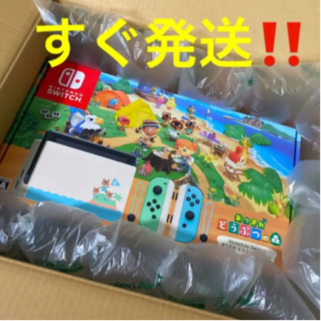 Nintendo Switch どうぶつの森　新品未使用どう森