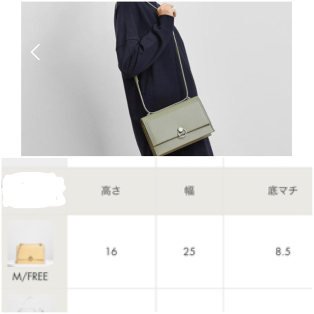 Charles and Keith(チャールズアンドキース)のCHARLES&KEITH ショルダーバッグ　ミントグリーン レディースのバッグ(ショルダーバッグ)の商品写真