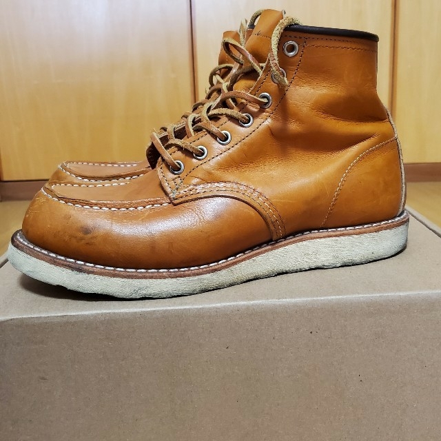 《REDWING》レッドウィング  アイリッシュセッター NO.9875犬タグ