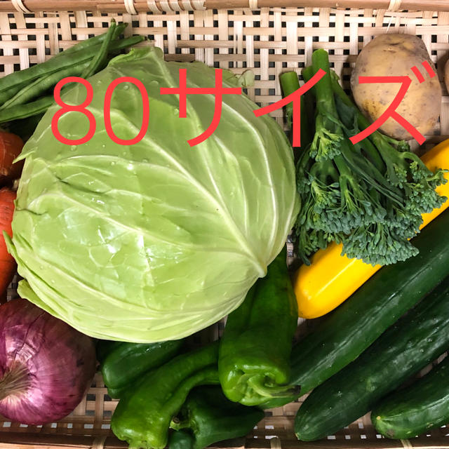野菜のセット 食品/飲料/酒の食品(野菜)の商品写真