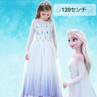 アナトユキノジョオウ(アナと雪の女王)の❤️新品❤️アナ雪2👑エルサドレス120センチ👑本格スパンコール刺繍💎(ドレス/フォーマル)