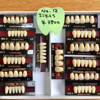 歯科技工 人工歯 No.12(その他)