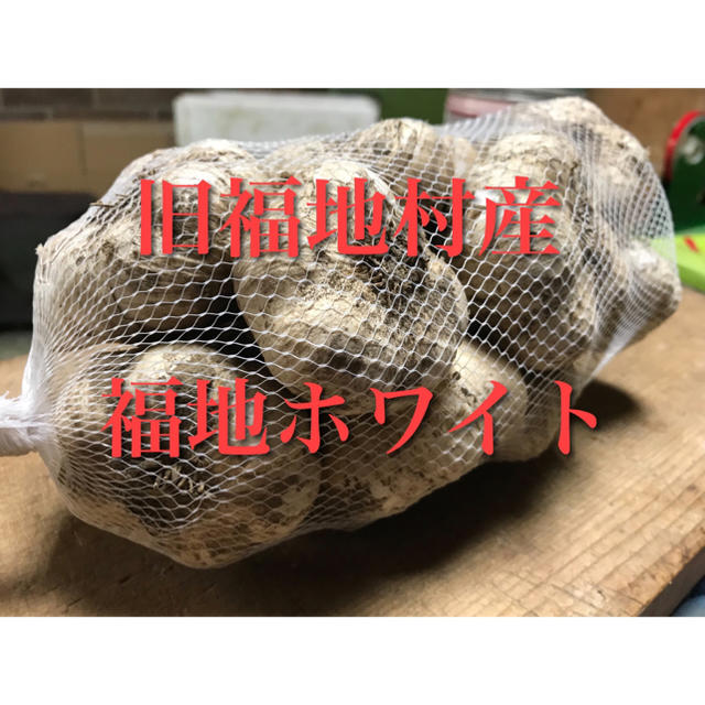 福地ホワイト発祥の地 福地村産 福地ホワイト　M〜L 1kg にんにく 青森県産 食品/飲料/酒の食品(野菜)の商品写真