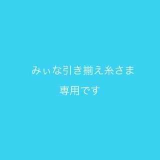 みぃな引き揃え糸さま専用です(生地/糸)