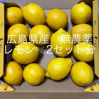 広島県産無農薬レモン　2.5kg以上(フルーツ)