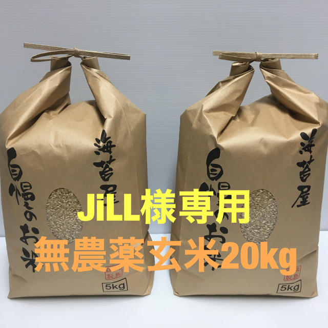 JiLL様専用 無農薬 コシヒカリ 玄米20kg(5kg×4)令和元年 徳島県産 lp2m