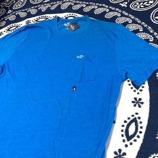 ホリスター(Hollister)のHollister ホリスター カラー Ｔシャツ ブルー(Tシャツ/カットソー(半袖/袖なし))