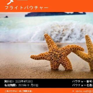 ジェットスター バウチャーの通販 14点 | フリマアプリ ラクマ
