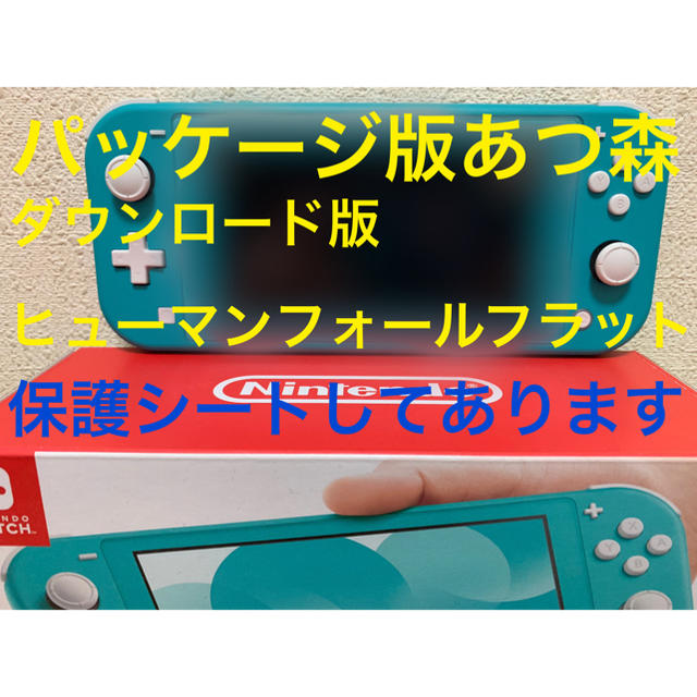 Nintendo　Switch　Lite　+  あつまれどうぶつの森　+　画面シ