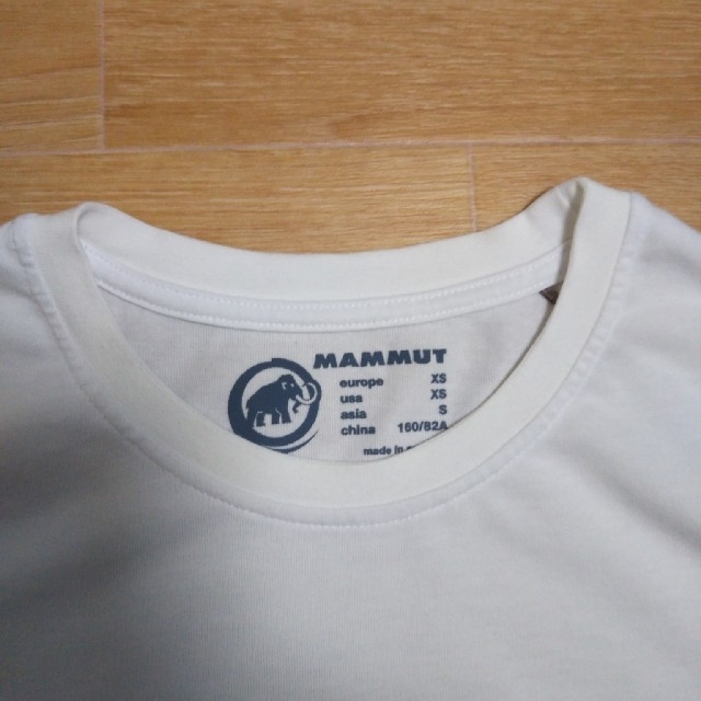 Mammut(マムート)のMAMMUTマムートTシャツ【メンズSサイズ】 メンズのトップス(Tシャツ/カットソー(半袖/袖なし))の商品写真