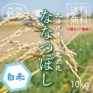 1等米！ななつぼし　白米10kg お米　米　ブランド米　農家直送　精米価格(米/穀物)