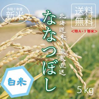 1等米！ななつぼし　白米5kg お米　米　ブランド米　農家直送　精米価格(米/穀物)