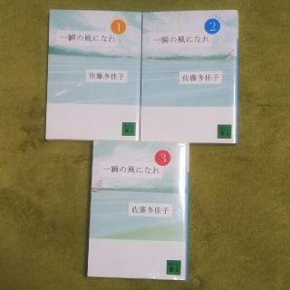 一瞬の風になれ 全３巻セット(文学/小説)