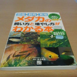 メダカの飼い方と増やし方がわかる本 図鑑＆飼育＆繁殖(住まい/暮らし/子育て)