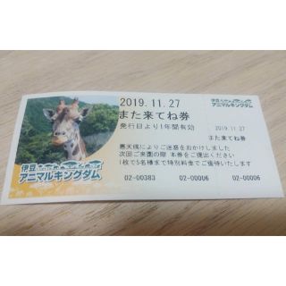 アニマルキングダム 割引券(動物園)