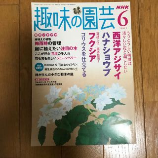 あんこ様専用　趣味の園芸　2005年6月(専門誌)