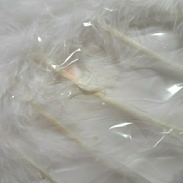 コスプレ　天使の羽　 エンタメ/ホビーのコスプレ(小道具)の商品写真