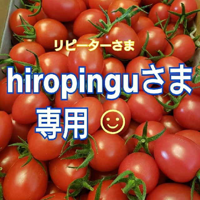 ４kg hiropinguさま専用です☺️ ミニトマト 食品/飲料/酒の食品(野菜)の商品写真