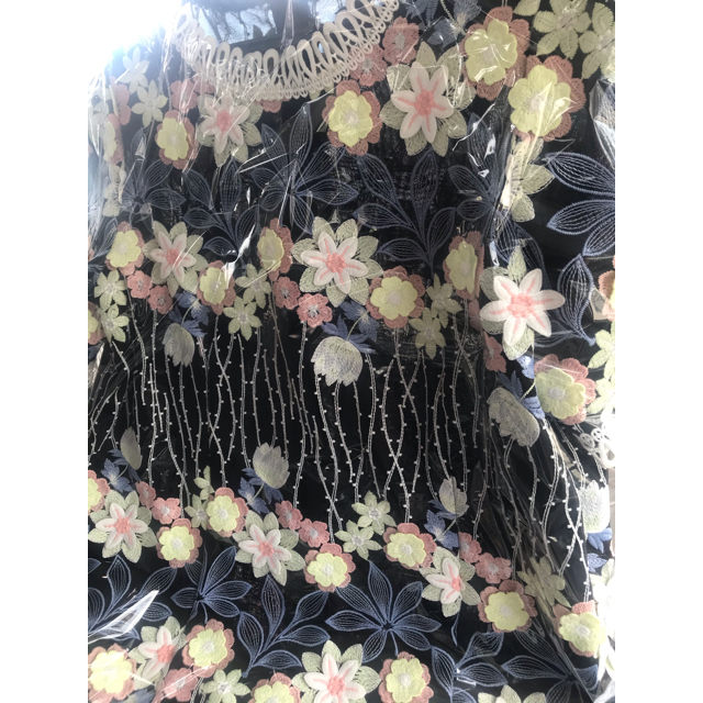 Chesty(チェスティ)のチェスティFlower Embroidery Blouse レディースのトップス(シャツ/ブラウス(半袖/袖なし))の商品写真