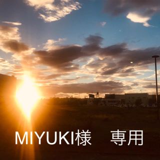 MIYUKI様　専用(その他)