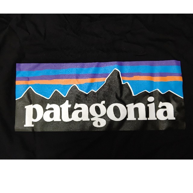 patagonia(パタゴニア)のパタゴニアpatagoniaロゴTシャツ☆黒sizeM メンズのトップス(Tシャツ/カットソー(半袖/袖なし))の商品写真