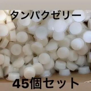 高タンパクゼリー　ワイドカップ　45個(虫類)