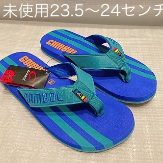 ハワイアナス(havaianas)の未使用ビーチサンダル青23.5〜24センチ(ビーチサンダル)