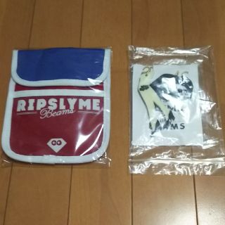 ビームス(BEAMS)のRIP SLYME パスケース＆キーホルダー(ミュージシャン)