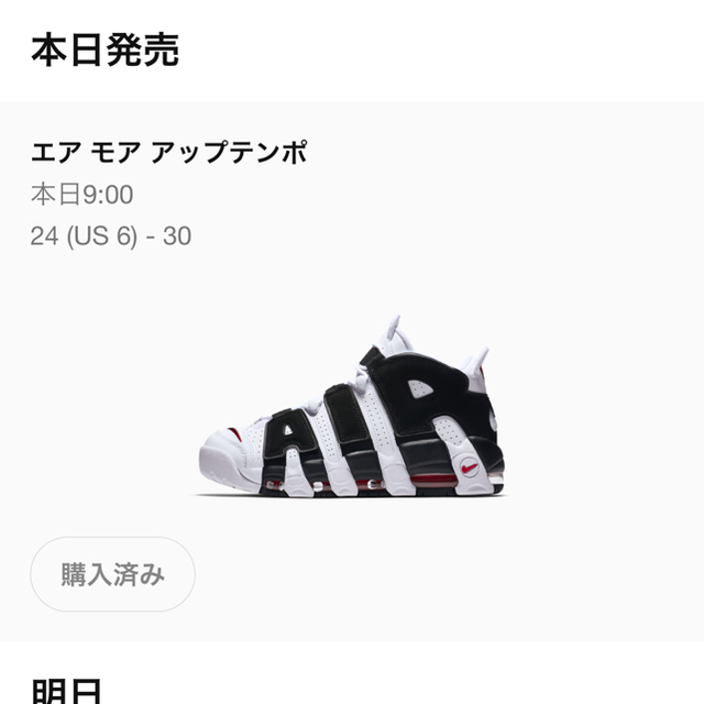 NIKE(ナイキ)のNIKE AIR MORE UPTEMPO "SCOTTIE PIPPEN"  メンズの靴/シューズ(スニーカー)の商品写真