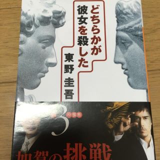 どちらかが彼女を殺した(文学/小説)