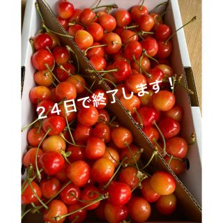 🍒山形県産　さくらんぼ🍒佐藤錦1キロ(フルーツ)