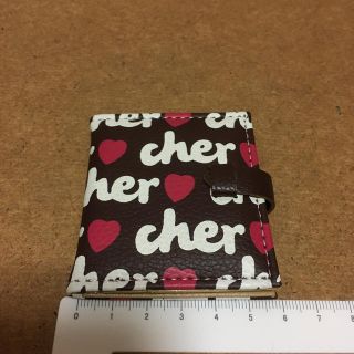 シェル(Cher)のCher フォト　ミニケース(その他)