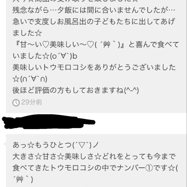 朝採りトウモロコシ 食品/飲料/酒の食品(野菜)の商品写真