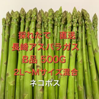 長崎産アスパラガス　B品 500G(野菜)