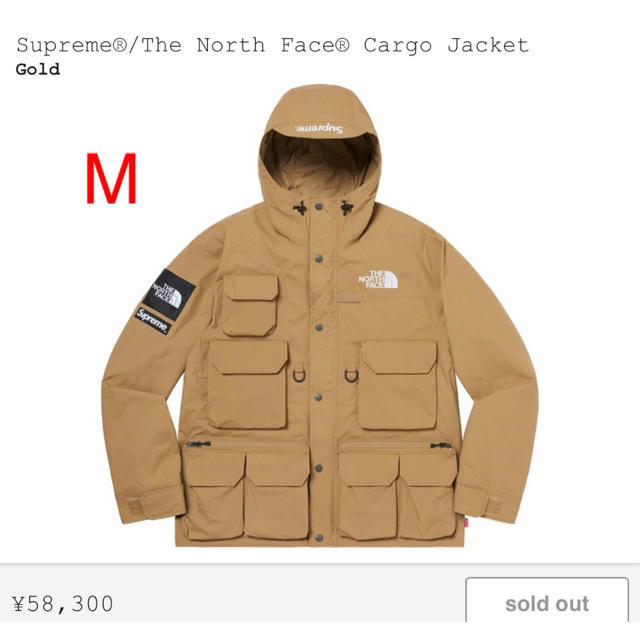 Supreme the north face cargo jacket ノース