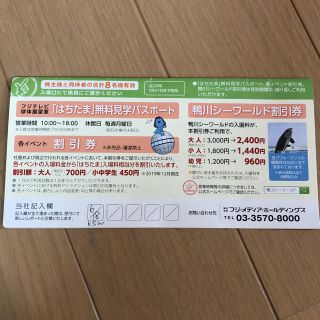 フジテレビ球体展望室 フジテレビ株主優待券 鴨川シーワールド(水族館)