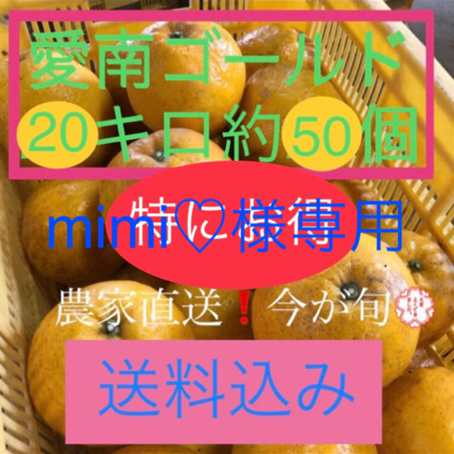 愛媛県産 農家直送 愛南ゴールド(河内晩柑) 食品/飲料/酒の食品(フルーツ)の商品写真