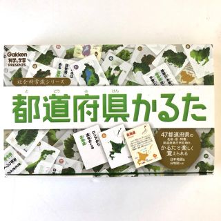 都道府県かるた 未使用(カルタ/百人一首)