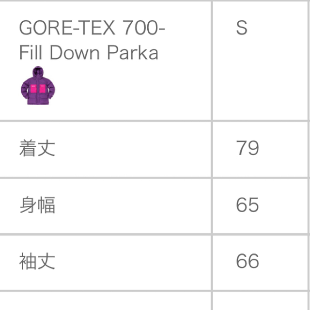supreme gore-tex 700 fill down parka