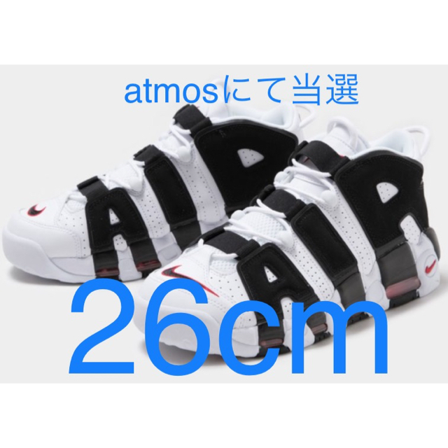 NIKE AIR MORE UPTEMPO ゼブラ　26cm