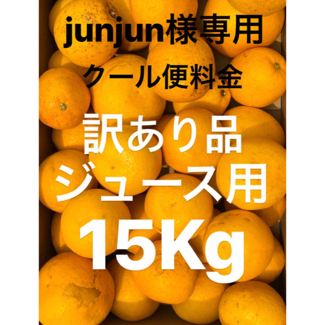 junjun様専用 訳ありジュース用宇和ゴールド クール便追加料金の通販