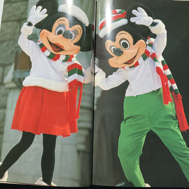2020最新型 高品質 東京ディズニーランド開園5周年記念リトグラフ
