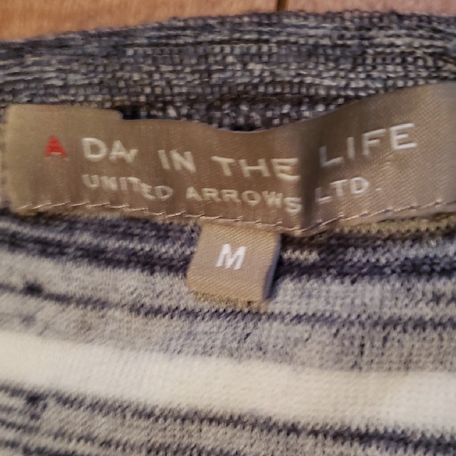 UNITED ARROWS(ユナイテッドアローズ)のA DAY IN THE LIFE ユナイテッドアローズ　ボーダーパイルTシャツ メンズのトップス(シャツ)の商品写真