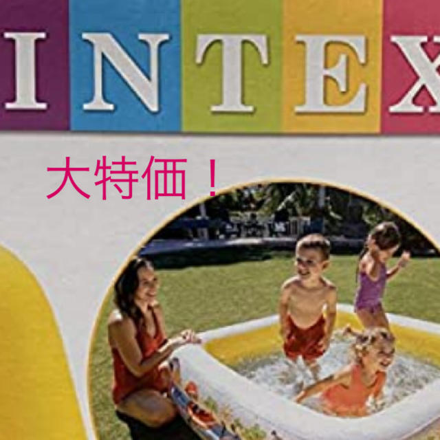 INTEX インテックス　サンシェード　ビニールプール チケットの施設利用券(プール)の商品写真