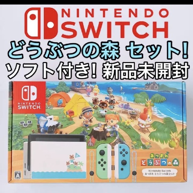 NintendoSwitch あつまれどうぶつの森セット